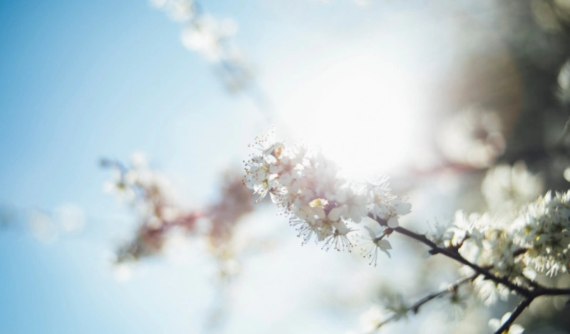 график работы: 20.04 - 01.05.2026 г.