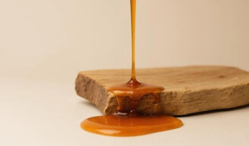 морилка или масло для дерева: что лучше выбрать для профессиональной отделки