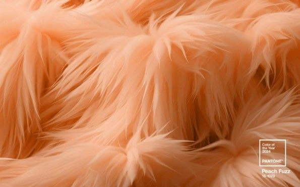 cvet-goda-2024-vdohnovenie-i-tendencii-ot-instituta-cveta-pantone3.jpg