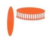 sled-fakela-fakel-otregulirovan-verno