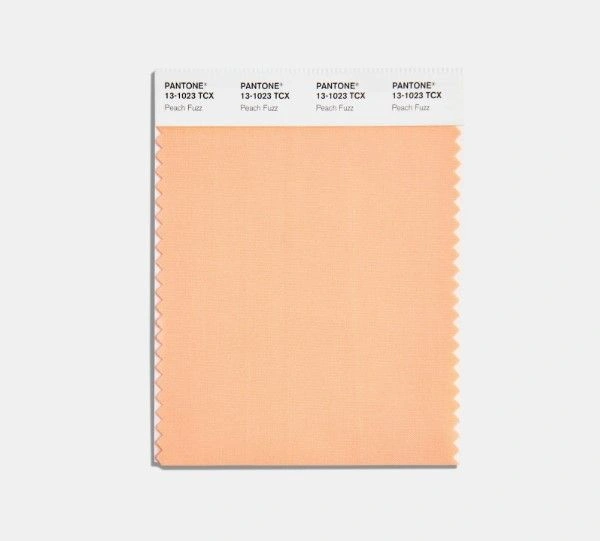 cvet-goda-2024-vdohnovenie-i-tendencii-ot-instituta-cveta-pantone4.jpg