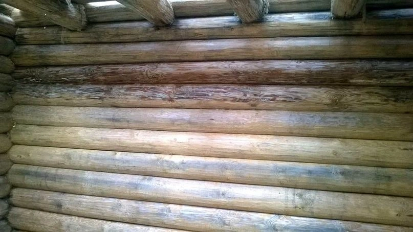 Синева на срубе без защиты.jpg