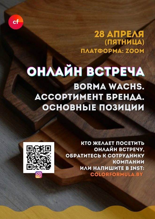 28_aprelya_onlajn_vstrecha_borma1.jpg