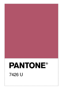 Pantone 7426.png