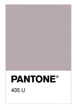 Pantone 435.png
