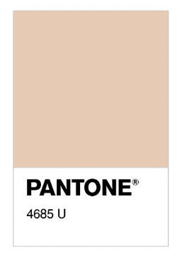 Pantone 4685.png