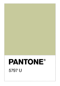 Pantone 5797.png