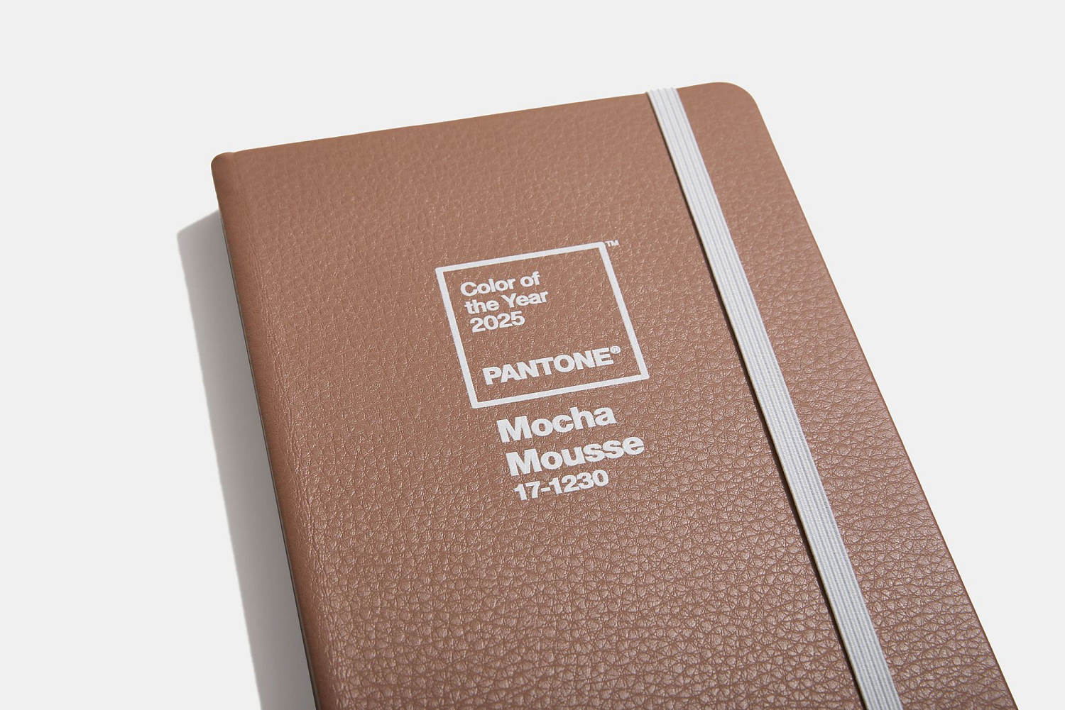Pantone объявил цвет года 2025: Mocha Mousse 